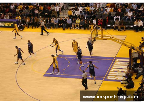 NBA黑白：揭秘球场上的阴暗面